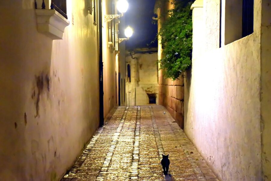 Merida: Legends and Mysteries Night Tour - Storytelling, accuracy, and the theatrical style