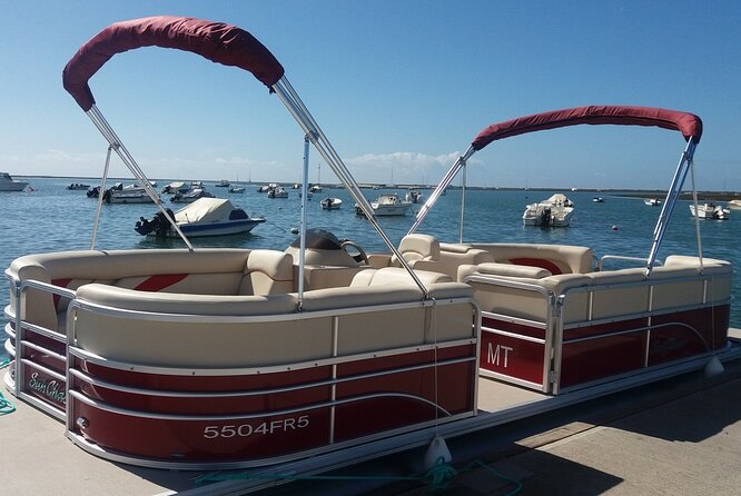 Nature Catamaran Tour from Faro - What Lower Tide and Winter Can Change