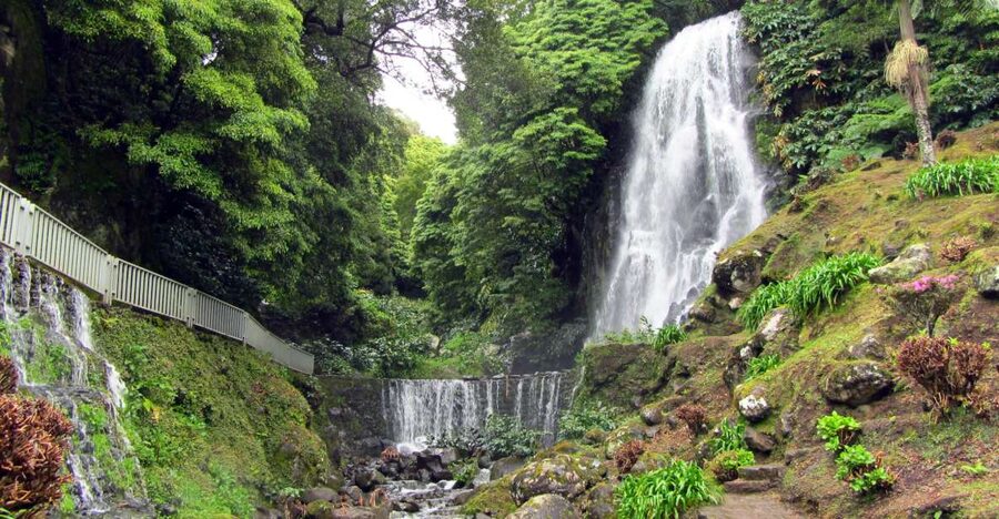 Nordeste Tour from Ponta Delgada - Why the Nordeste road is worth a full day