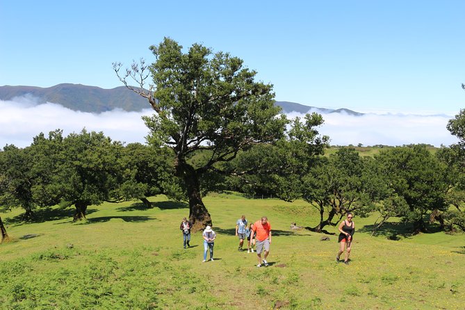 Northwest Terraces and Volcanic Pools 4x4 Full Day Tour - The Veu da Noiva Viewpoint