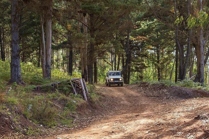 Nun's Valley & Sea Cliff - Half Day - Shared Tour - What the Jeep ride is really like