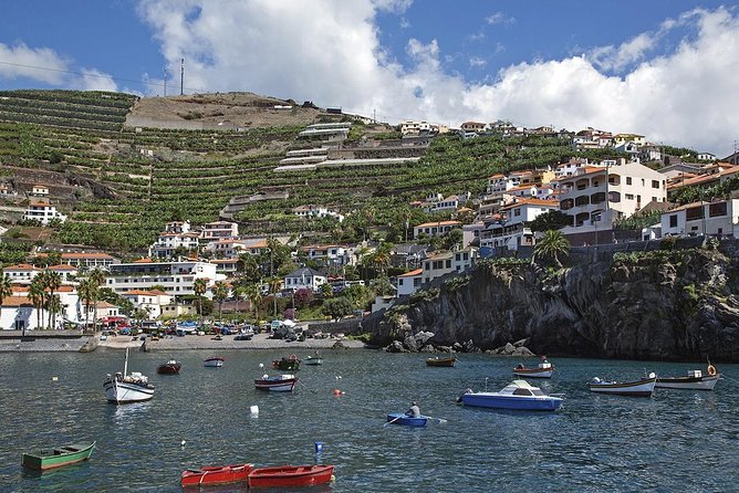 Nun's Valley & Sea Cliff - Half Day - Shared Tour - Wine-growing country on the way uphill