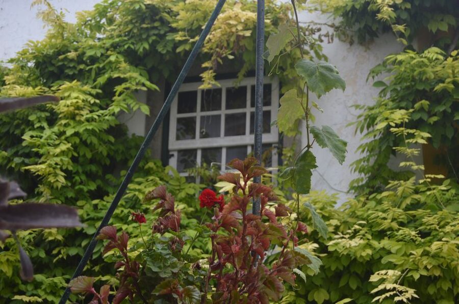 Óbidos: Medieval Tales & Secrets Spots Guided Walking Tour - Who should take this walk?