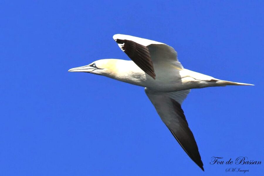 Olhão: 3 Islands Guided Sightseeing Tour with Lunch - FAQ