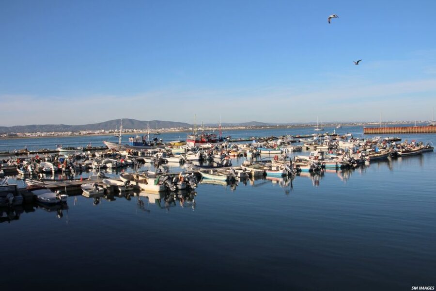 Olhão: 3 Islands Guided Sightseeing Tour with Lunch - What the guide adds to the boat ride