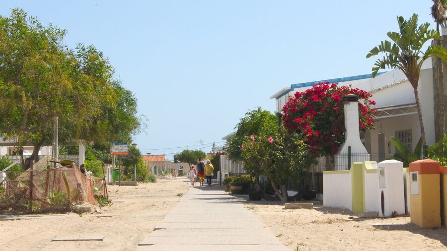 Olhão: 4-Hour Ria Formosa Islands Tour - Cruising through the Ria Formosa