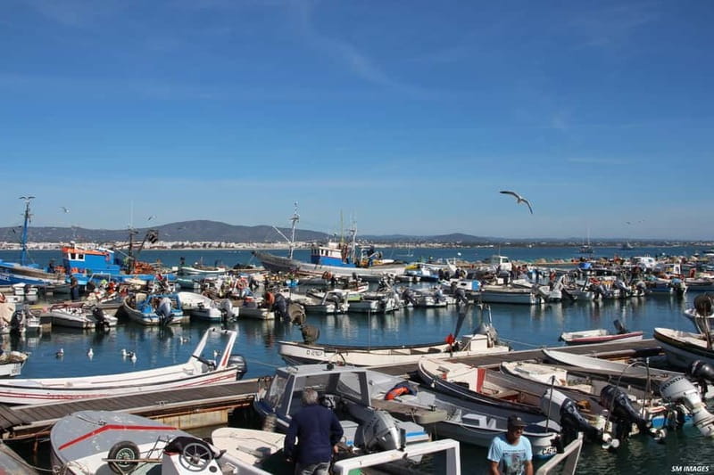 Olhão: Ria Formosa 3 Islands Guided Day Trip by Boat - Why the guides matter