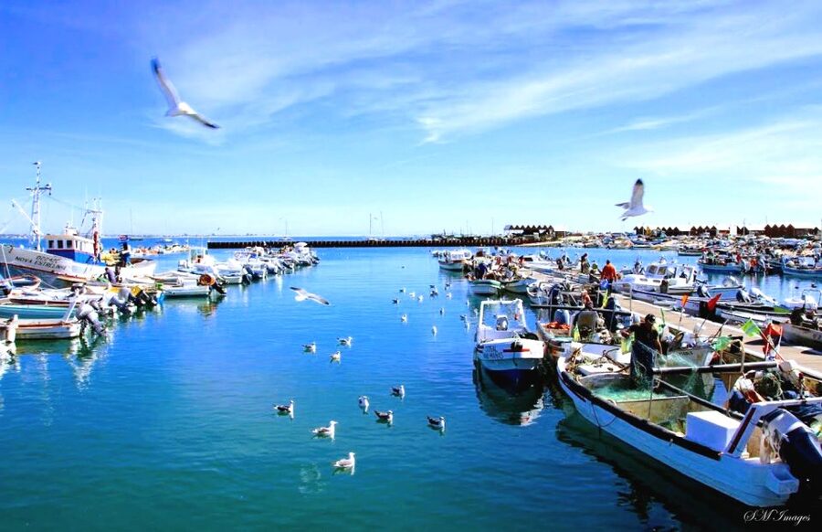 Olhão: Ria Formosa 3 Islands Guided Day Trip by Boat - What the $40 price gets you