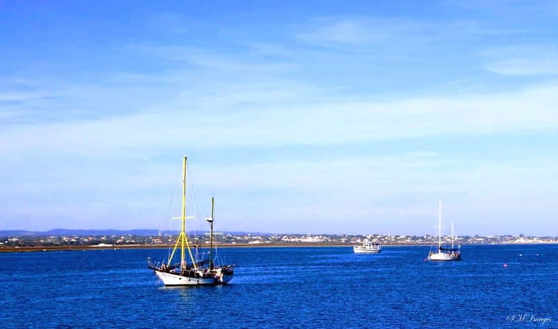 Olhão: Ria Formosa 3 Islands Guided Day Trip by Boat - How to plan your day around the boat
