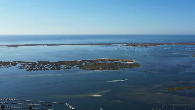 Olhão: Ria Formosa National Park Boat Cruise - Key points to know before booking