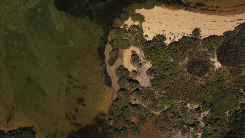Olhão: Ria Formosa National Park Boat Cruise - The return through the park