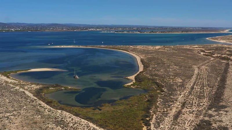 Olhão: Ria Formosa National Park Boat Cruise - Shared cruise or private boat?