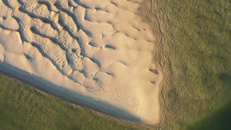 Olhão: Ria Formosa National Park Boat Cruise - Who will enjoy this Olhão boat trip?