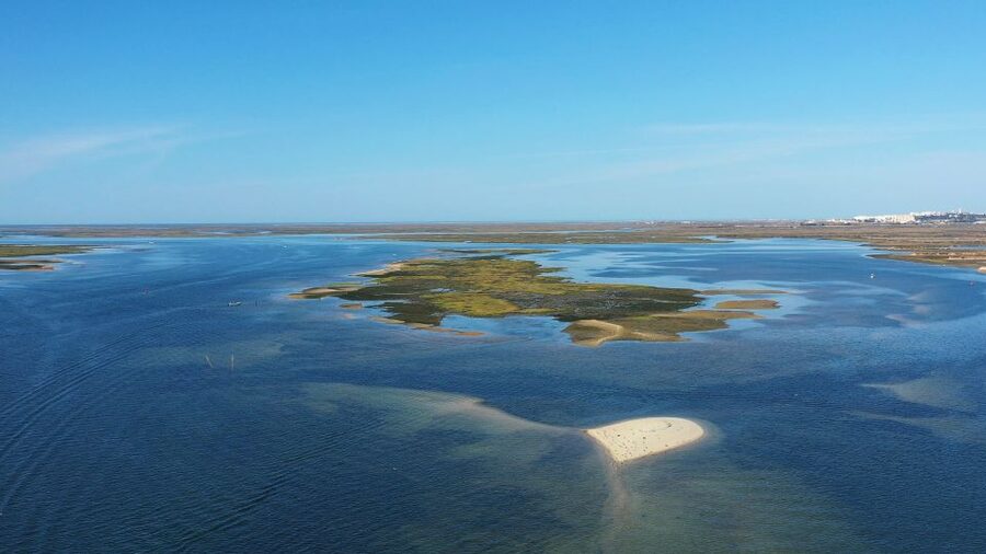 Olhão: Ria Formosa National Park Boat Cruise - Timing, meeting point, and practical preparation