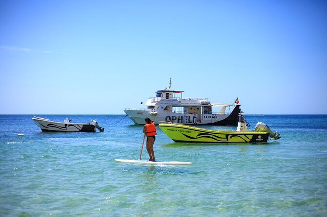 Ophelia Catamaran Cruises + Beach BBQ - Seeing Benagil Cave From the Water