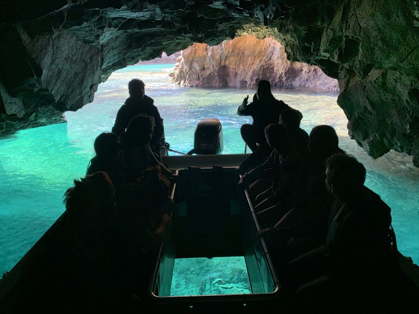 Peniche: Berlenga Island and Cave Tour - Should you book the Berlenga Island tour?