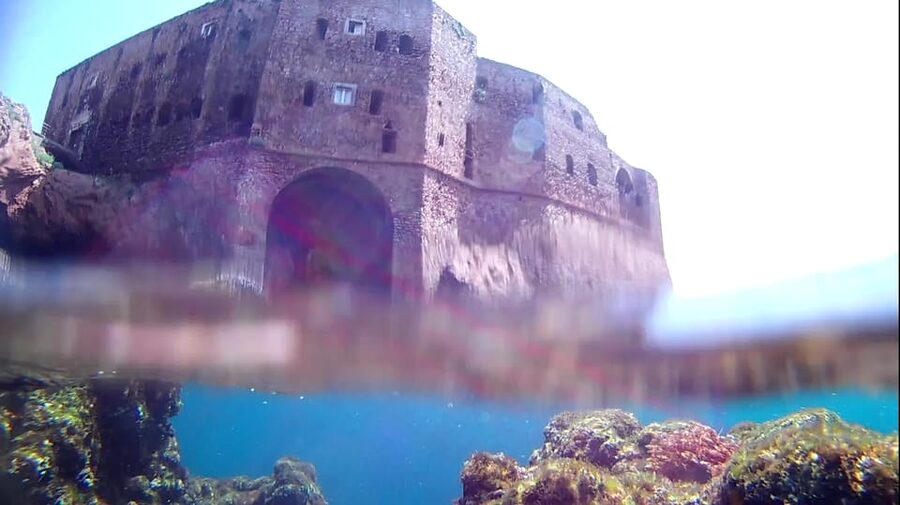 Peniche: Berlengas Island Catamaran Tour + Snorkeling - Should you book the Berlenga catamaran tour?