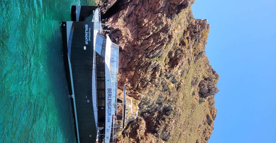 Peniche: Berlengas Island Round-Trip Ferry with Island Stop - São João Baptista Fort and the walk to it