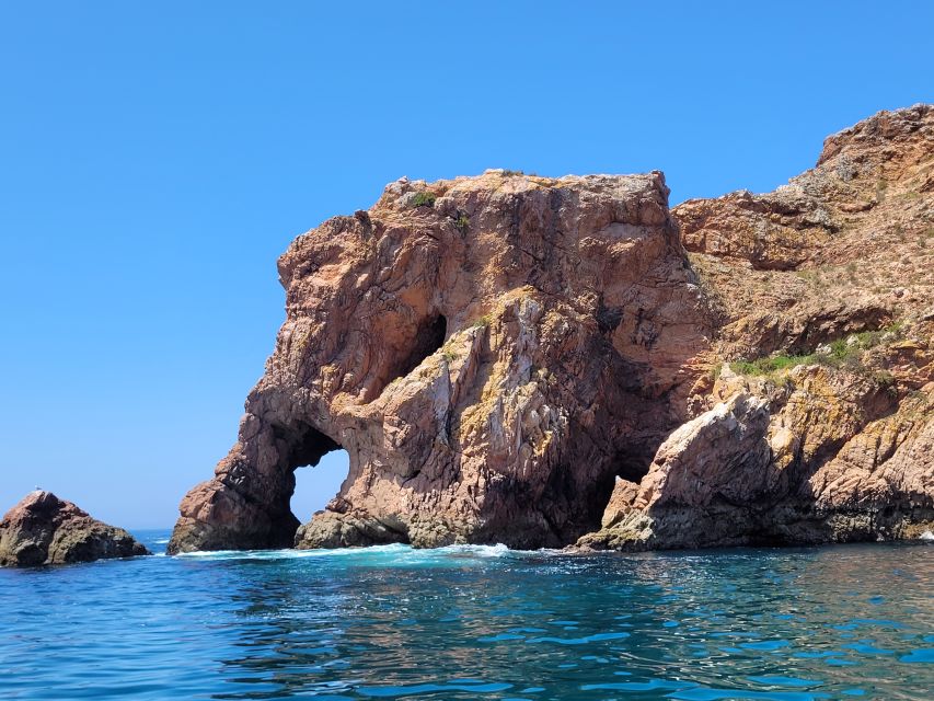 Peniche: Berlengas Island Round-Trip Ferry with Island Stop - Booking details worth knowing