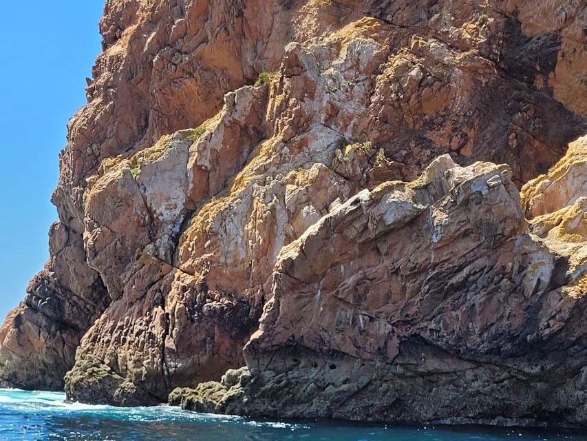 Peniche: Berlengas Island Round-Trip Ferry with Island Stop - Should you book the Berlengas ferry?