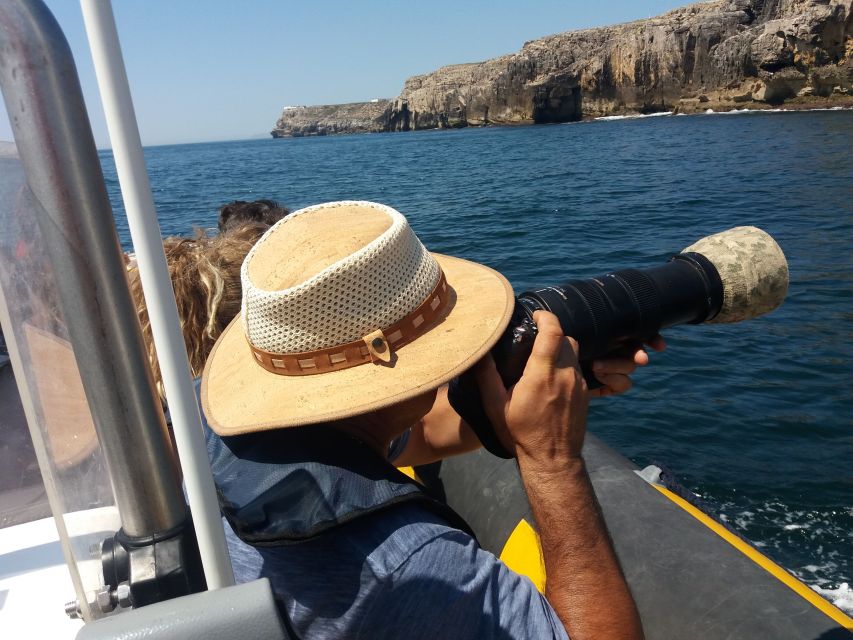 Peniche: Dolphin Route Boat Trip - Searching for Roaz Corvineiro dolphins