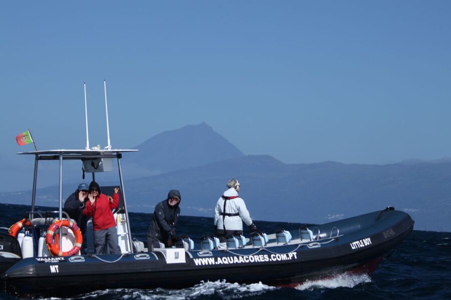 Pico Island: Azores Whale & Dolphin Watching on Zodiac Boat - The Zodiac ride along Pico’s coast