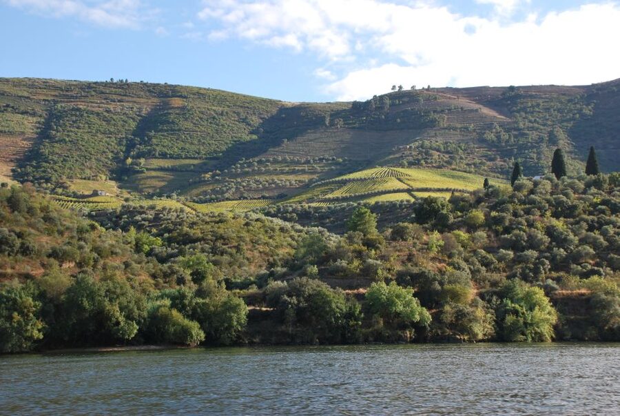 Pinhão: 2-Hour Rabelo Boat Tour with Audio Guide - Is two hours better than one?