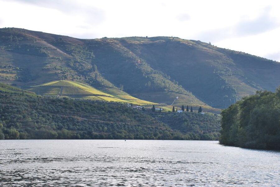 Pinhão: 2-Hour Rabelo Boat Tour with Audio Guide - Who should book the Magnifico Douro cruise?