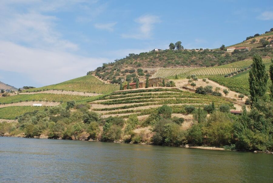 Pinhão: 2-Hour Rabelo Boat Tour with Audio Guide - The river views, from Pinhão Bridge to the Tua dam