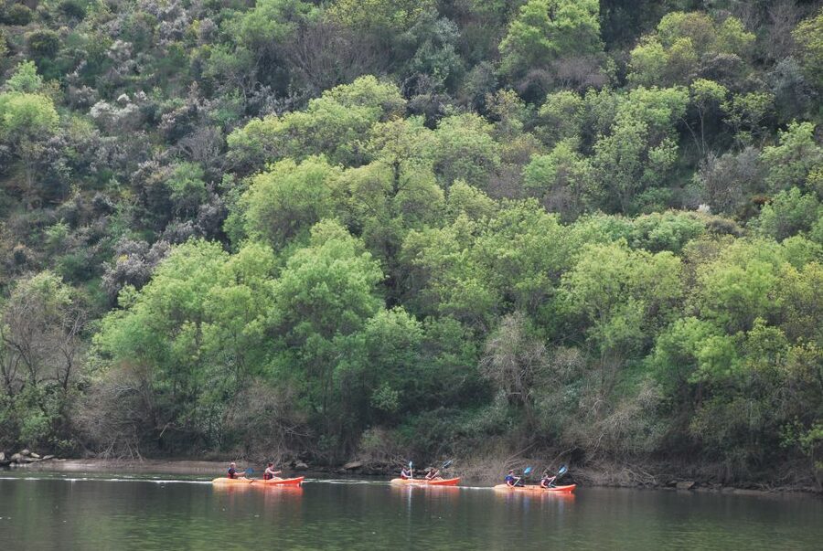 Pinhão: 4 Hour Douro Valley Kayak Rental - Key points to know before you book