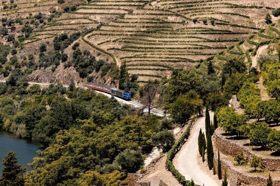 Pinhão: Douro River Boat Tour with Lunch - Lunch is the main value of the tour