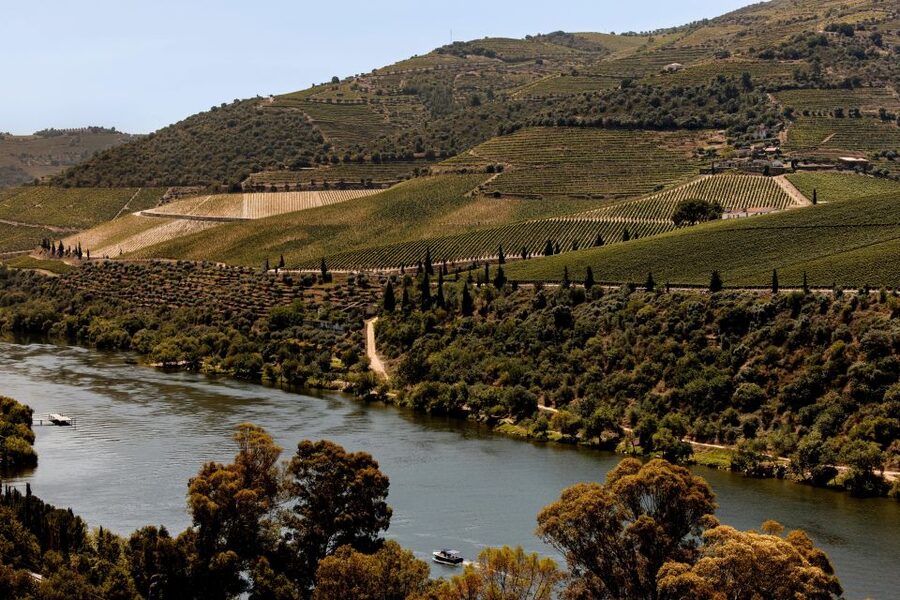 Pinhão: Douro River Boat Tour with Lunch - How much value do you get for $80?