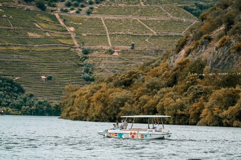 Pinhão: Douro River Solar Boat Tour with Wine Tasting - Who should book this Pinhão cruise?