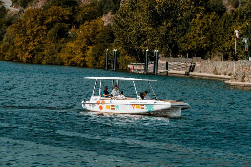 Pinhão: Douro River Solar Boat Tour with Wine Tasting - Leaving from Pinhão’s riverfront