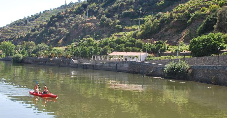 Pinhão: Douro Valley Rabelo Boat Tour and Kayak Experience - Quiet water, terraced vineyards, and room to set your pace