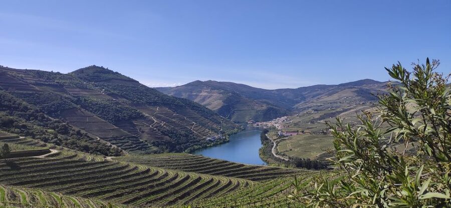 Pinhão: Douro Valley with Wine Tasting, Boat Trip and Lunch - Key points to know before you book