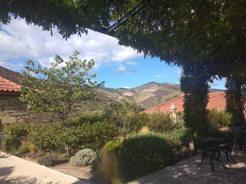 Pinhão: Douro Valley with Wine Tasting, Boat Trip and Lunch - The panoramic viewpoint above the river
