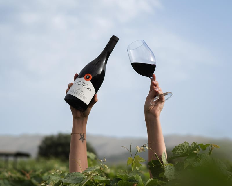 Pinhão: Quinta da Formigosa Vineyard Tour and Wine Tasting - Key points at a glance