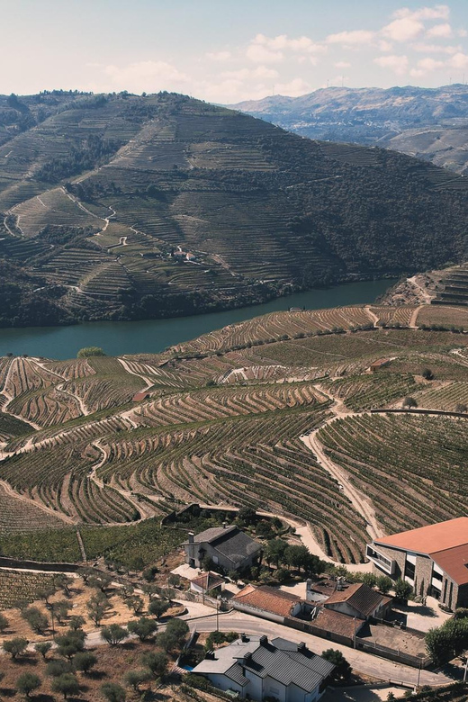 Pinhão: Quinta da Formigosa Vineyard Tour and Wine Tasting - Practical details before you reserve