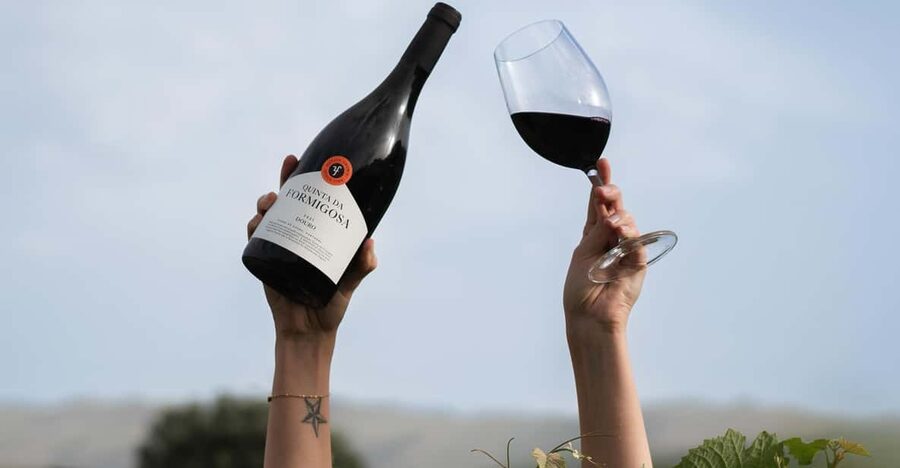 Pinhão: Quinta da Formigosa Vineyard Tour and Wine Tasting - The vineyard walk: 15 minutes among the vines