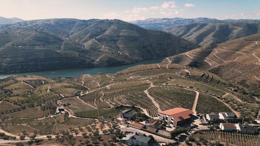 Pinhão: Quinta da Formigosa Vineyard Tour and Wine Tasting - The tasting room and three Douro wines