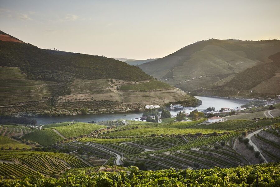 Pinhão: Quinta do Bomfim Visit and Tasting - Key points at a glance