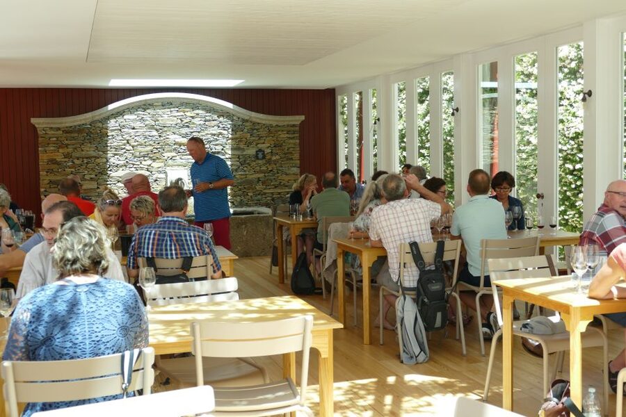 Pinhão: Quinta do Bomfim Visit and Tasting - Choosing a vineyard walk above the Douro
