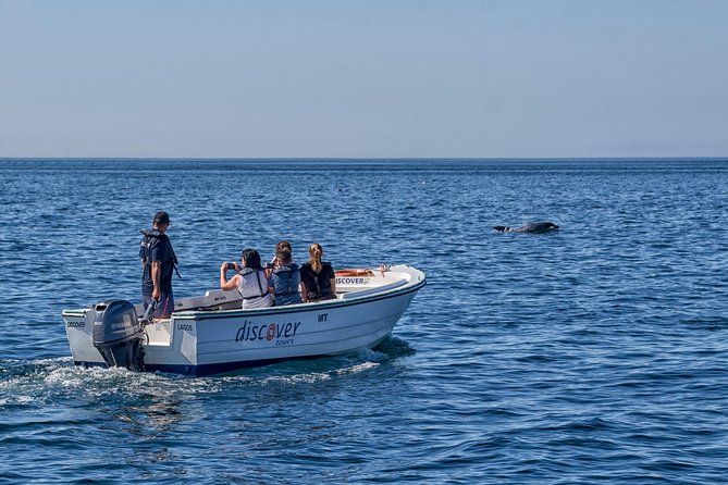 Ponta da Piedade Boat Tour to Caves and Beaches with Local Guide - Why this short Lagos cruise works so well