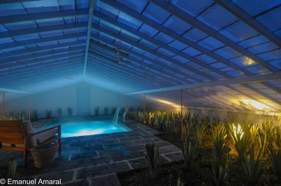 Ponta Delgada: Greenhouse Hot Tube with Pineapple Tour - A warm pool among São Miguel pineapples