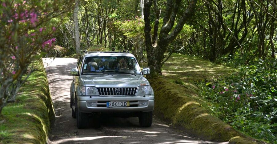 Ponta Delgada: Half-Day 4x4 Sete Cidades Trip - What the guide adds to the ride