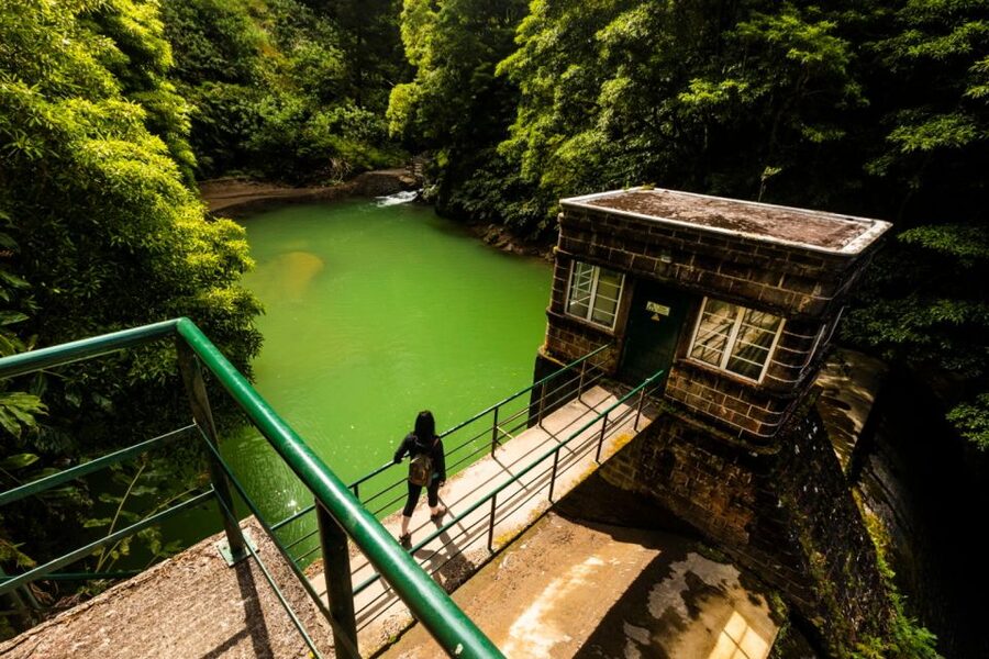 Ponta Delgada: Hidden Gems of São Miguel Full-Day Van Tour - Why this tour works for a second look at São Miguel