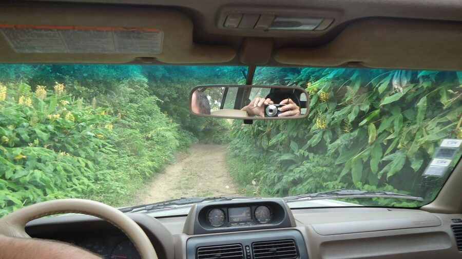 Ponta Delgada: Private Full or Half-Day 4x4 São Miguel Tour - Nordeste, tea, villages, and the quieter roads