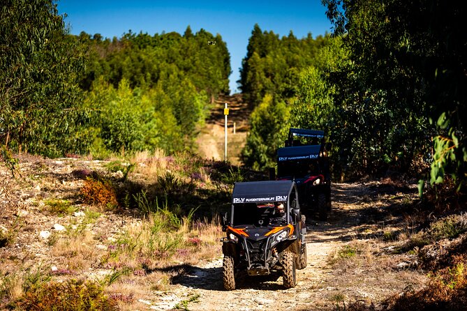 Ponte de Lima Guided Buggy Tour - What driving the buggy is really like
