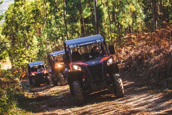 Ponte de Lima Guided Buggy Tour - Is $181.02 fair for two people?